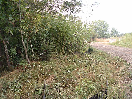 Driveway 68k
