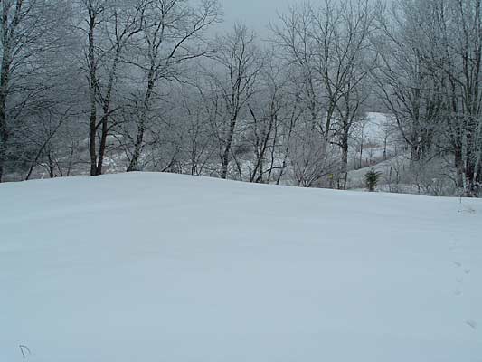 snowy view of parking spot 27k