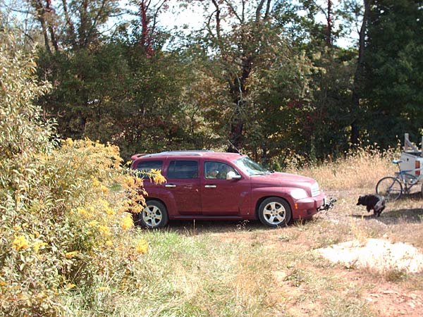Car and Dog 91k