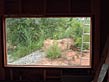 Studio in the Hills